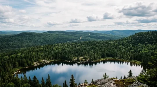 Paysage forestier isolé de la Haute-Mauricie au Québec avec lac et forêt boréale dense sous un ciel dégagé