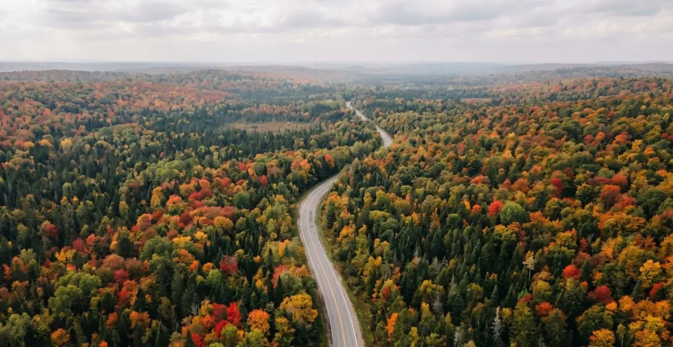 Vue aérienne minimaliste d'une route forestière québécoise en automne