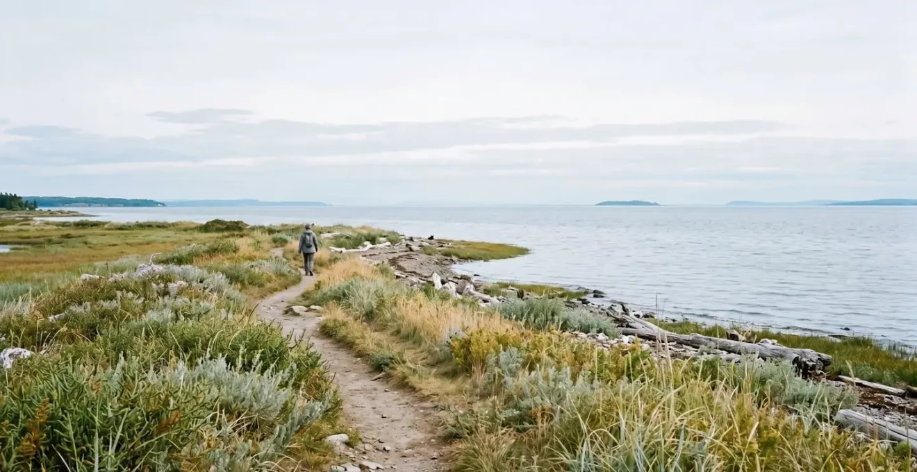 Sentier côtier bordé d'herbes marines menant vers l'horizon de l'estuaire